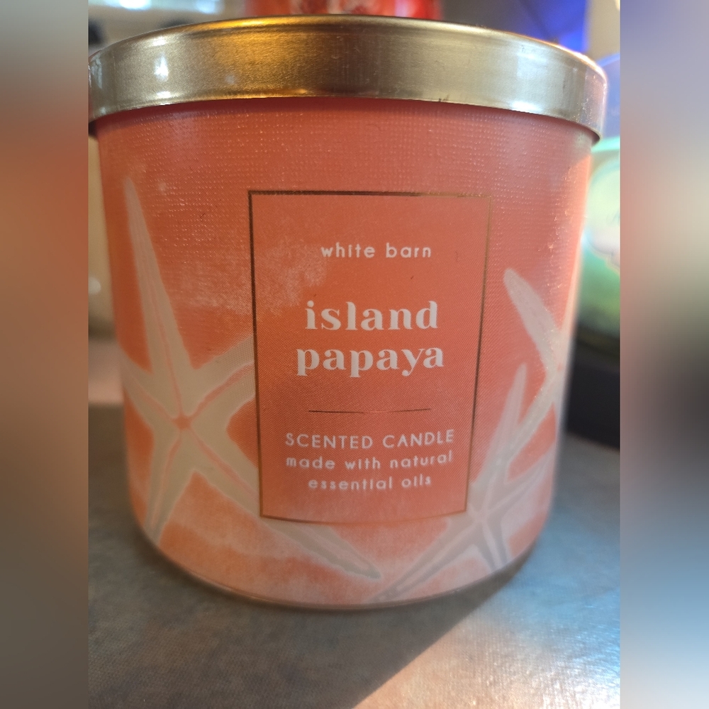 White Barn Island Papaya Scented Candle - Coral